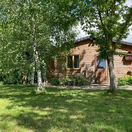 Chalet Proche Orleans Centre Saint-Jean-le-Blanc Exterior photo